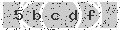 verify code